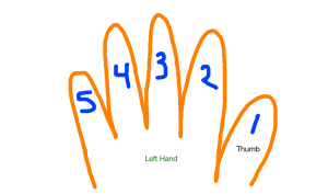Image of hand with each finger numbered